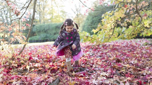 autumn, autumnal, Britain, British, child, children, England, English, GB, girl, Great Britain, Great British, jm scotney castle 53, jmscotneyautumn2014, Kent, leaf, leaves, outdoor, outside, people, play, playing, Scotney Castle, South East, South East Region, UK, United Kingdom, visiting, visitor